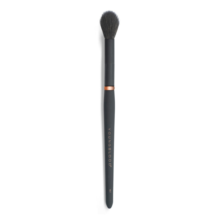 Youngblood Highlight Brush YB7